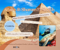 voyage-organise-sharam-el-sheikh-caire-2025-kouba-alger-algerie