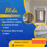 appartement-vente-f3-blida-soumaa-algerie