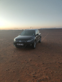 voitures-volkswagen-tiguan-2015-illizi-algerie