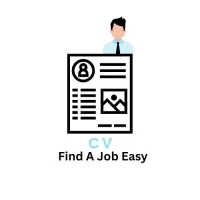 Professional CV Writing Service