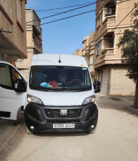 voitures-fiat-ducato-2023-batna-algerie