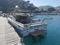 Vend bateau 12 places volvo penta