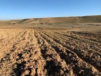 terrain-agricole-vente-tiaret-rechaiga-sebaine-algerie