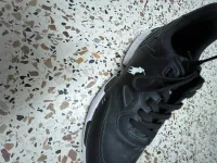 Basket homme 