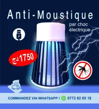 Lampe Anti Moustique portatif rechargeable صاعقةالبعوض