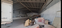 hangar-location-boumerdes-hammedi-algerie