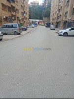 appartement-vente-f3-alger-bouzareah-algerie