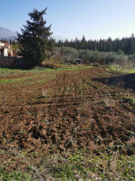 terrain-vente-bouira-algerie