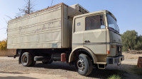 camion-sonacom-b260-1996-ngaous-batna-algerie