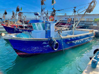 boats-barques-doosan-315ch-sardinier-2008-alger-centre-algeria