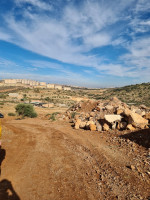 terrain-vente-tlemcen-beni-mester-algerie