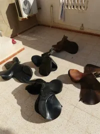 Selle de cheval 