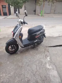 Vms Cuxi 2 2025