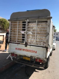 KIV FOTON 2013