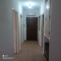 appartement-location-f4-alger-bordj-el-bahri-algerie