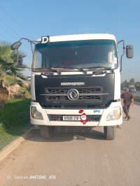 camion-dfsk-dong-fong-2010-el-harrach-alger-algerie