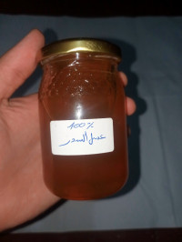 miel-derives-عسل-السدرة-حرة-و-مضمونة-خاوتي-bachdjerrah-alger-algerie