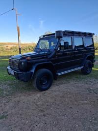 سيارات-mercedes-classe-g-464-wolf-2025-تيارت-الجزائر