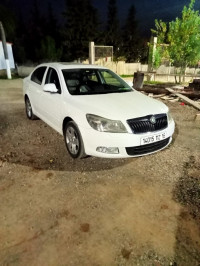 voitures-skoda-octavia-2012-baba-hassen-alger-algerie