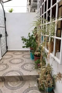 Location vacances Appartement Alger Hydra