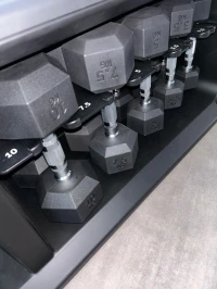 Matériel technogym rameur et haltère 