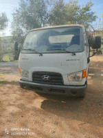 camion-hyundai-hd65-2017-tamalous-skikda-algerie