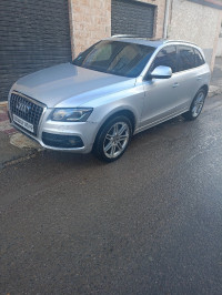 voitures-audi-q5-2010-s-line-pack-tech-setif-algerie