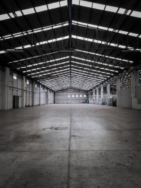 hangar-location-blida-meftah-algerie