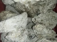 عنبر الحوت ( مسك الحوت )