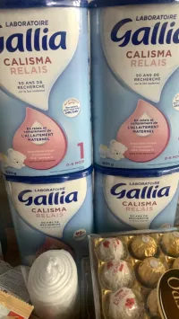 Gallia 1 ère âge et 2 eme âge 