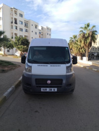 fourgon-fiat-2008-staoueli-alger-algerie