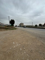 hangar-location-constantine-el-khroub-algerie