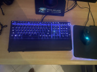 clavier-souris-razer-blackwidow-elite-v2-setif-algerie