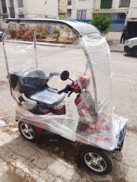 Scooter électrique 04 roue avec toit