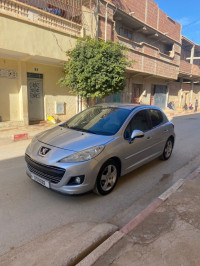 voitures-peugeot-207-2011-chlef-algerie