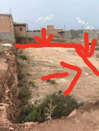 أرض-بيع-عين-تيموشنت-سيدي-صافي-الجزائر