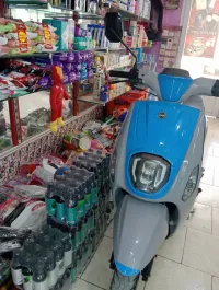 Vms Vms 2024