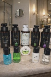 آخر-produits-daccueil-dhotellerie-العاشور-الجزائر