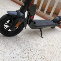 Weyscrel L1 2024
