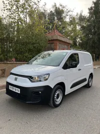 Fiat Doblo 2024 Professional