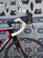 velos-velo-course-kolea-tipaza-algerie