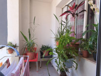 appartement-location-f4-alger-birkhadem-algerie