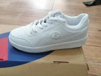 Basket champion 43