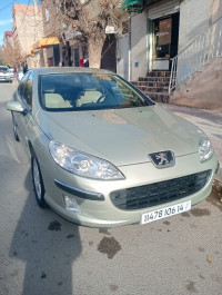 voitures-peugeot-407-2006-tiaret-algerie