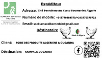 impression-edition-إنشاء-الشعار-وبطاقة-العمل-وقائمة-المطعم-creation-de-logo-carte-visite-et-menu-restaurant-boumerdes-algerie