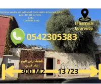 Vente Terrain Alger El harrach