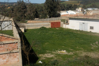 hangar-vente-ain-defla-boumedfaa-algerie