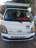 camion-hyuondai-h100-2012-djinet-boumerdes-algerie