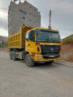 camion-foton-2012-algerie