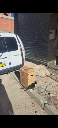 صناعة-و-تصنيع-lnstaallatiot-automatisme-سطيف-الجزائر
